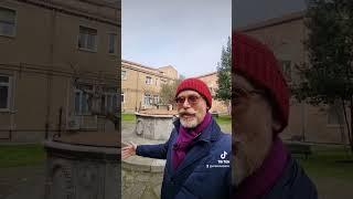  Венеция. Колодцы и коты)