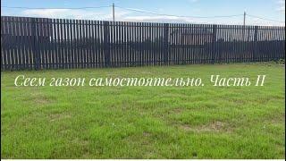 Сеем газон самостоятельно. Часть Il