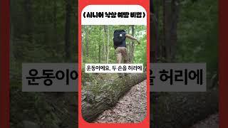 시니어를 위한 낙상 예방 루틴 #건강습관 #지식 #건강한중년#낙상예방#건강루틴#운동#예방비법