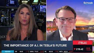 Tesla (TSLA): Global E.V. Penetration Has Resumed Upward Trend