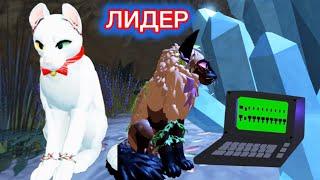 КАК СТАТЬ ЛИДЕРОМ В КОТАХ ВОИТЕЛЯХ?! Где находится компьютер?!Выборы на лидера. Warrior cats  Roblox