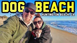 BEACH DAY! Lunch at Pacific City in Huntington,  Dog Beach & Lido Newport Christmas Shopping!