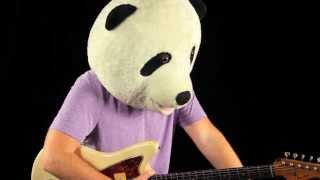 1961 Fender Jazzmaster Demo & Tone Review ( with Panda )