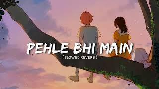 Pehle Bhi Main Slowed + Reverb | Ranbir Kapoor | Lofi Mix  | Sad Vibes | ANIMAL | Bhushan K