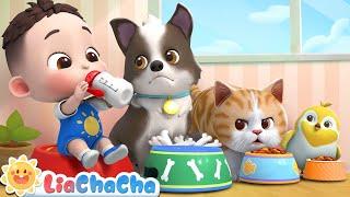 My Pet Song  | My Kitty and Puppy | LiaChaCha Animal Songs | Kids Songs & Nursery Rhymes