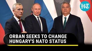 Pro-Putin Hungary Looks For Loophole In NATO's Ukraine Policy | 'Russia Won't Swallow West'