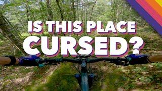 FINALLY, a video of the MTB trails in South Bath // Lilly Pond Community Forest