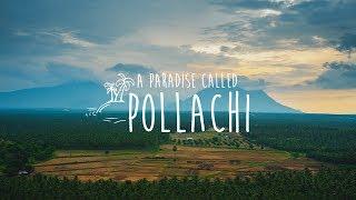 A Paradise Called Pollachi