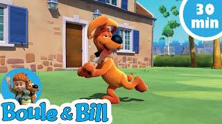 Boule et Bill sont fans de sushis ! - Nouvelle Compilation Boule et Bill FR