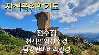 [철야기도]가정에서기도 독경을 정성스레 해보세요. 자식을 위한 기도 건강과 재물 직장 효도공양 소원은 이루어집니다.