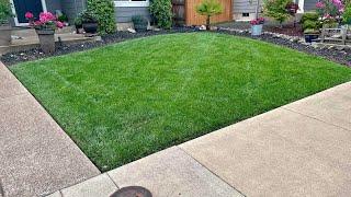 Greener Lawn In 2 Hours?