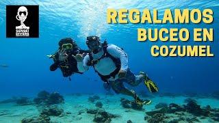  Buceo para principiantes  Donde bucear en Cozumel   Arrecifes de Cozumel / Tours en Cozumel  