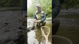 Little Fly Fishing Trip with Mr. Mike and LOTS of Trout