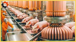 Most Unbelievable Food Industry Machines That At Another Level ▶249