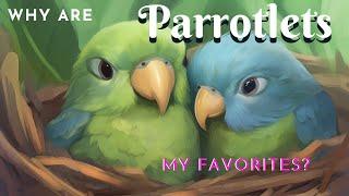 Why Are Parrotlets 1 of My FAV Birds? | #parrot_bliss #parrotlet