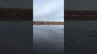 Первая рыбалка по открытой воде в этом году