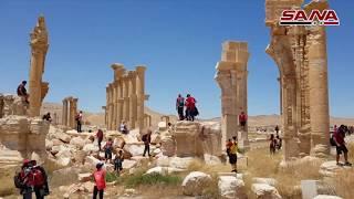 Viaje turístico documental a Palmira ALGERIA DELLYS