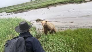 Grizzly Bear Charge in Remote Alaska