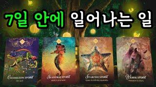 타로️ 7일 안에 일어나는 일 (6월23일~6월29일) 주간타로!