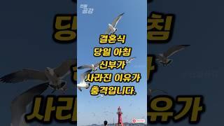 결혼식 당일 아침 신부가 사라진 이유가 충격입니다. #인썰공감 #인생썰 #사이다사연 #50대이야기 #감동실화 #인생역전