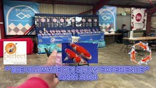 THE ULTIMATE KOI SHOW EXPERIENCE * GBKS 2024