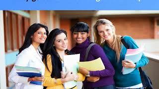 What does Online Assignment Help Websites do?