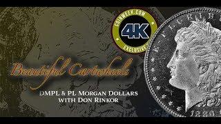 CoinWeek: Beautiful Cartwheels: DMPL & PL Morgan Dollars - 4K Video