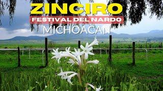 Así Celebramos el Festival del Nardo en Zinciro, Michoacan