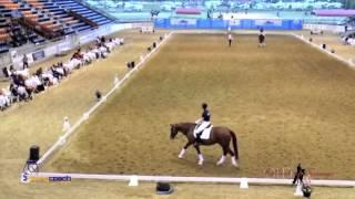 Festival of Dressage 5 Great Gymnastic Exercises