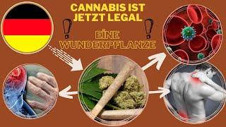 CANNABİS:Die Medizin für 4 schwere Krankheite-Gesundheit