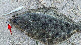 Why Use Single Jig & Gulp for Fluke? Deadliest Technique for BIG Flounder, Explained