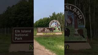 Elk Island National Park | Travel Guide & Tips