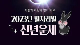 [타로] 2023년 별자리별 신년운세