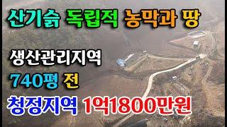 예산군 신양면 농막과 토지 2249m² 740평 산기슭 청정지역 귀농귀촌 싼땅전문 시골집 농가주택지 전문 예산부동산 홍성부동산 부동산파필