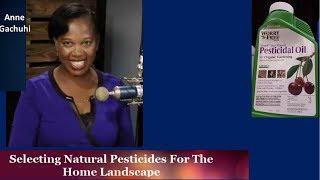 Selecting Natural Pesticides For The Home Landscape