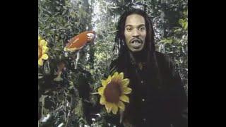 TRUTH OR DAIRY: who, what, where, when, how and why vegan (1994) - starring Benjamin Zephaniah