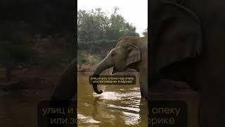 Консьерж-агентство Vkus Travel by Anna Krivencova воплотит в реальность любую вашу идею путешествия