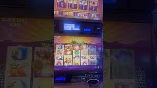 Buffalo Slots 🪙 Bonus Video #buffaloslot #casino #slotmachinebonus