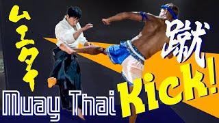 Aikido Master Learns Muay Thai Kicks From Top Kickboxing Fighter