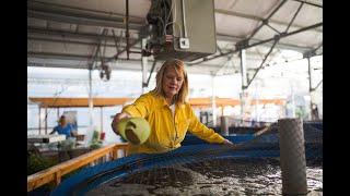 Feed Fish at an Aquaponics Operation | FarmHer Season 4 Episode14