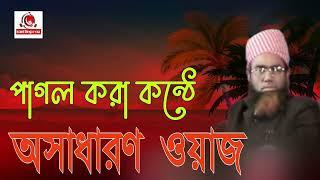 পাগল করা কন্ঠে অসাধারণ ওয়াজ। আজ তিনি পরপারে। আল্লামা জুবায়ের আহমদ আনসারী।প্রভূ যেন জান্নাত নসীব..