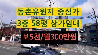 대구 동촌유원지 중심 상가임대! 3층 58평, 권리금 없음! 코너라 노출 확실!