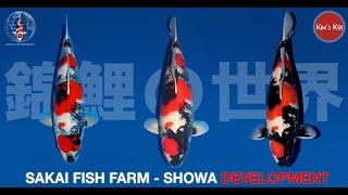 Sakai Fish Farm - Showa Development