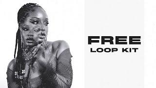 [FREE] Amapiano Loop Kit "Yebo" (+10 Royalty Free Ayra Starr, DJ Maphorisa, Nektunez Type Loops)