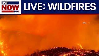 LIVE: Wildfire rages in Los Angeles, California, Palisades evacuated, homes abandoned, news updates