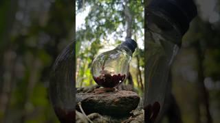 How to make a mini Aquarium|MR TECHOO|| DIY | #shorts