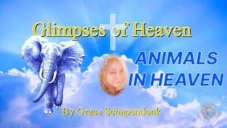 Animals in Heaven edit