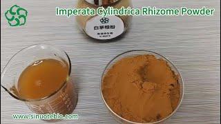 Imperata Cylindrica Rhizome Powder