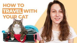 How to Travel With Your Cat (5 Secrets for Success)