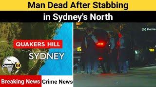 Man dead after stabbing in Sydney's north - australia news update - Channel 86 Australia